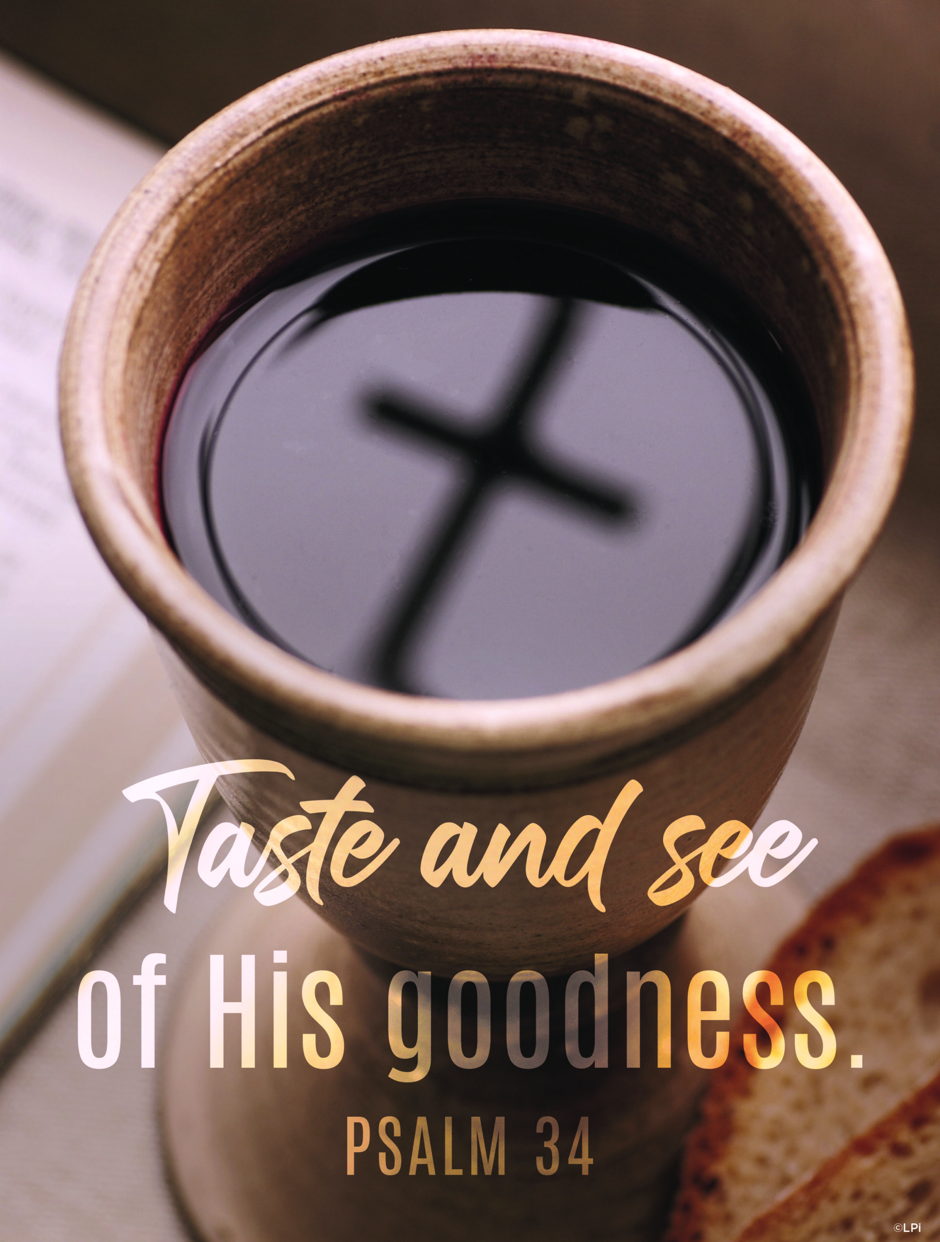 Pastor's Letter | 20th Sunday in Ordinary Time | Queen of Apostles ...