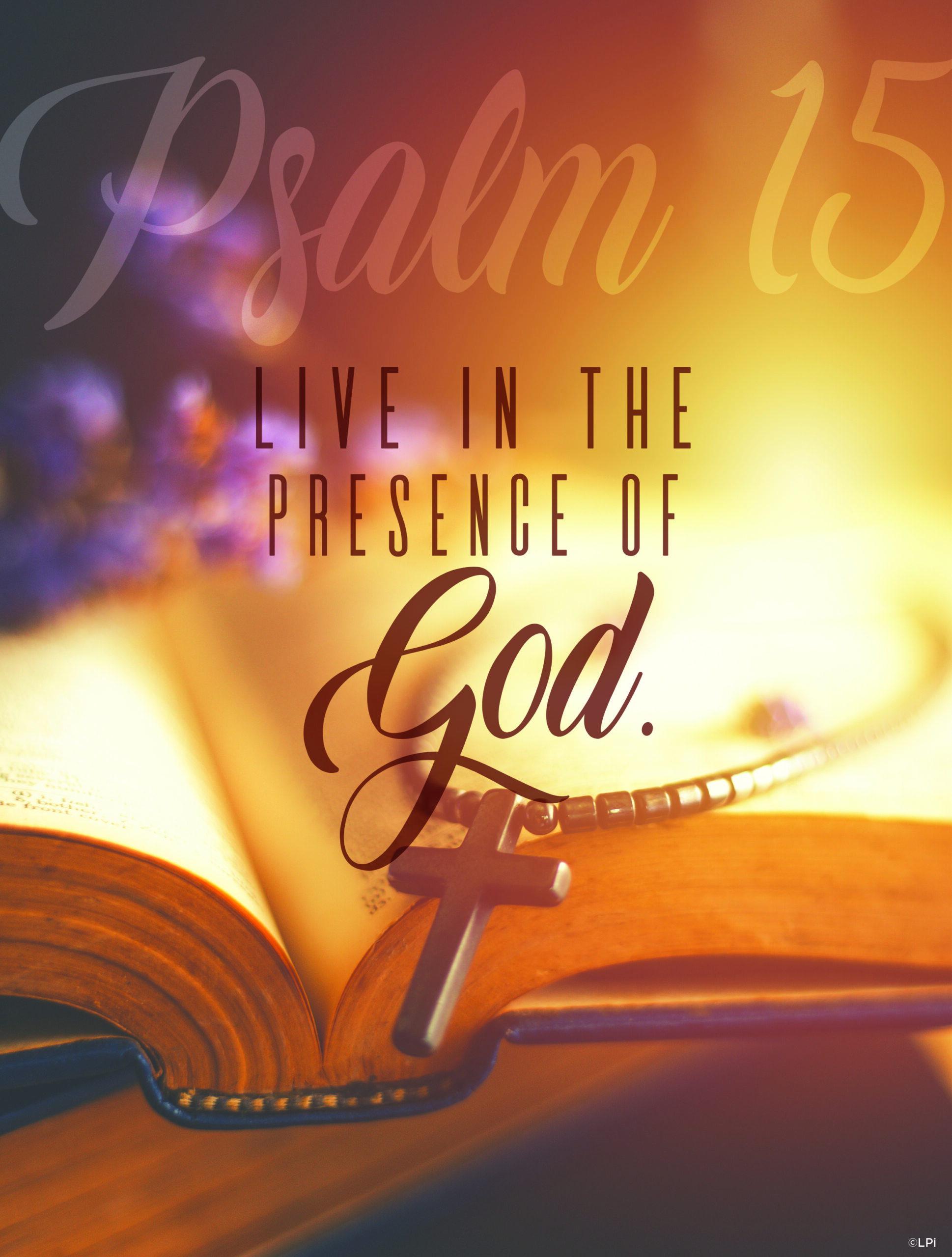 Pastor's Letter | 22nd Sunday in Ordinary Time | Queen of Apostles ...