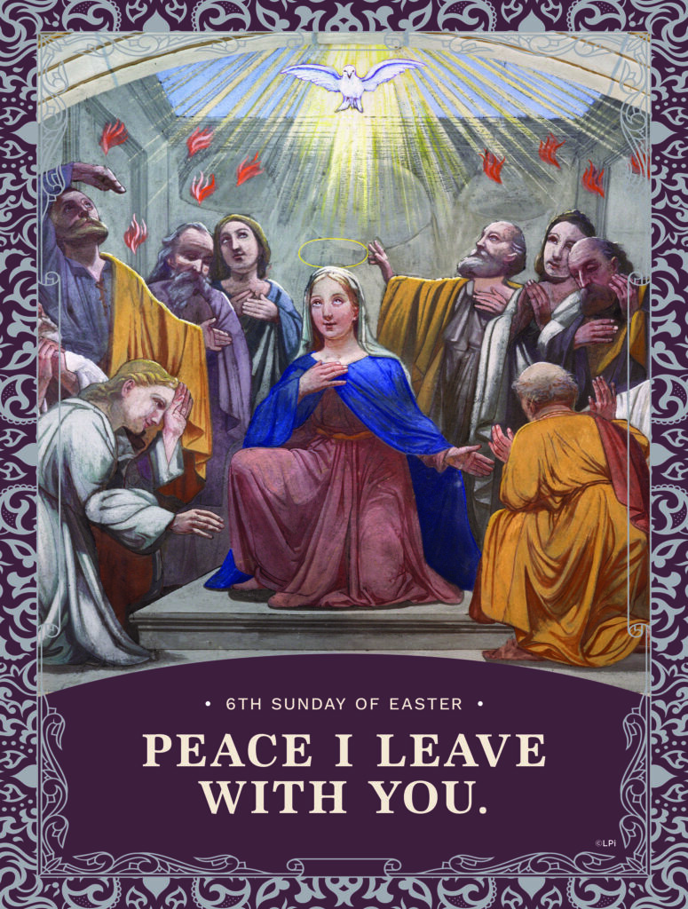 Pastor's Letter | Sixth Sunday of Easter | Queen of Apostles Catholic ...